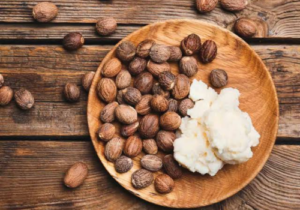 Nigeria's Raw Shea Nut Export Ban Is Back.